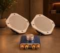 Temperature resistant bluetooth speakers